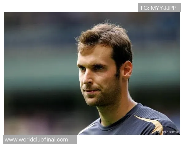 切赫与范德萨的巅峰对决谁才是门将之王的传奇传承者